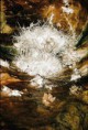 /album/fotogaleria/aragonitova-jaskyna-jpg/